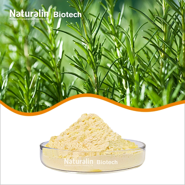Rosemary Extract Powder